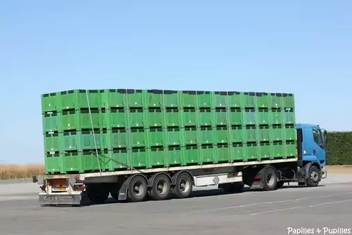 Transport