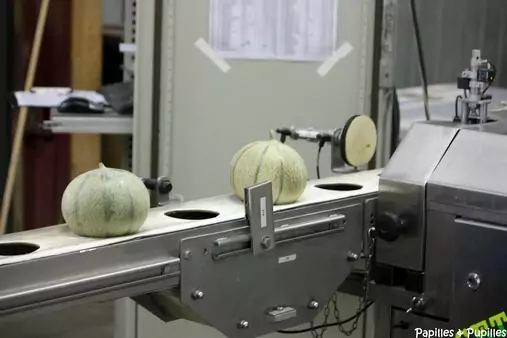 Vérification taux de sucre