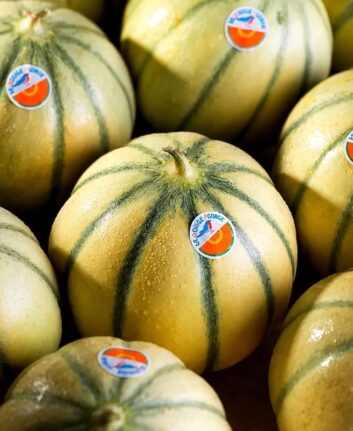 Cagette de melons Rouge Gorge