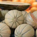 Melons ©R. Maximiliane shutterstock
