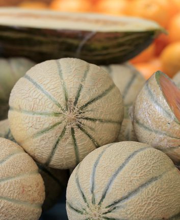 Melons ©R. Maximiliane shutterstock