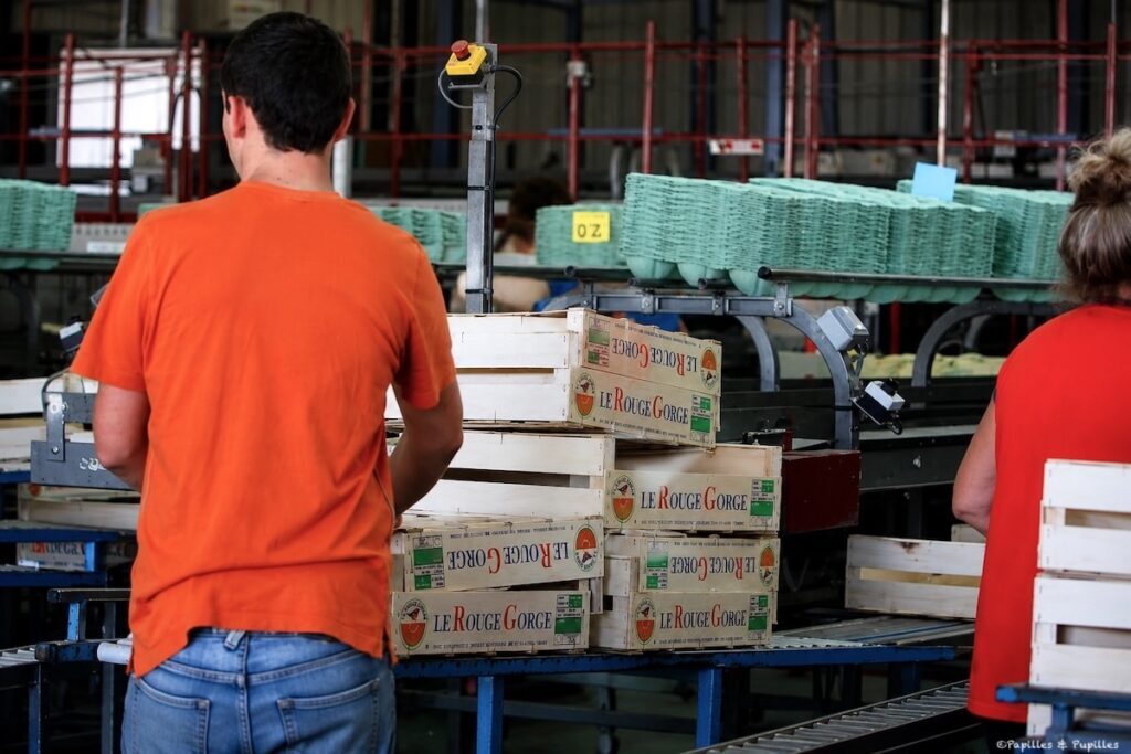 Production et emballage