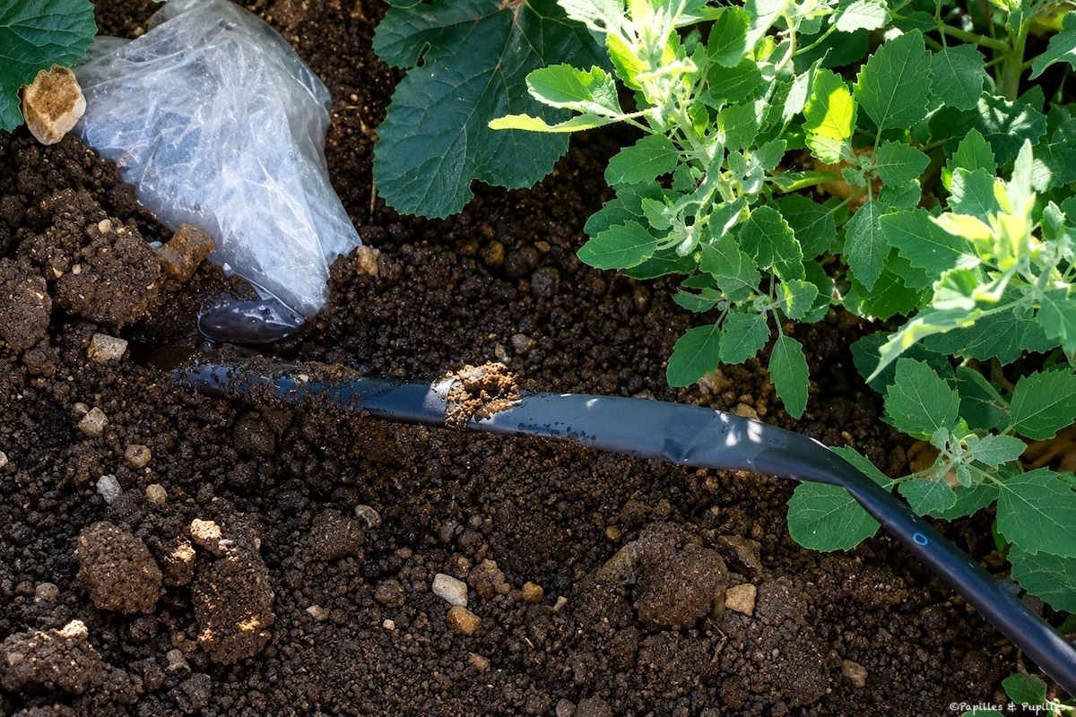 Tuyau d'irrigation
