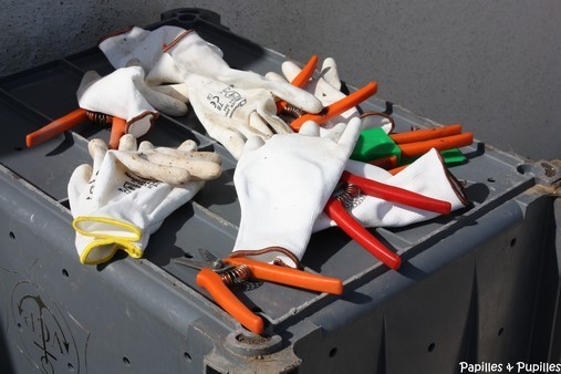 Après la cueillette