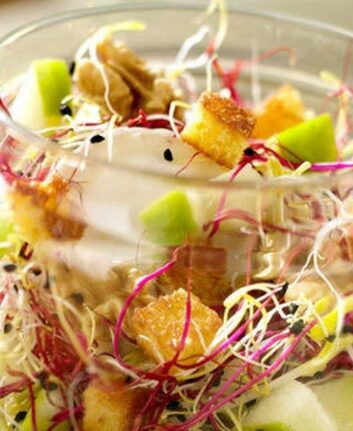 Salade sucrée salée aux pommes, chèvre et graines germées