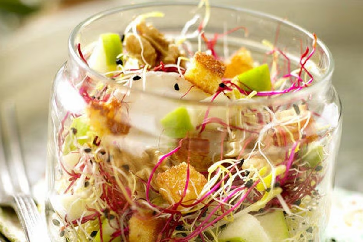 Salade sucrée salée aux pommes, chèvre et graines germées servie à l’assiette
