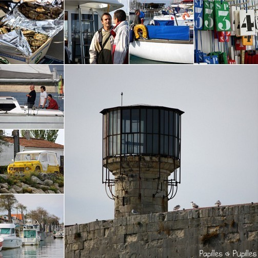 Marennes Oléron - La Rochelle - Fort Boyard