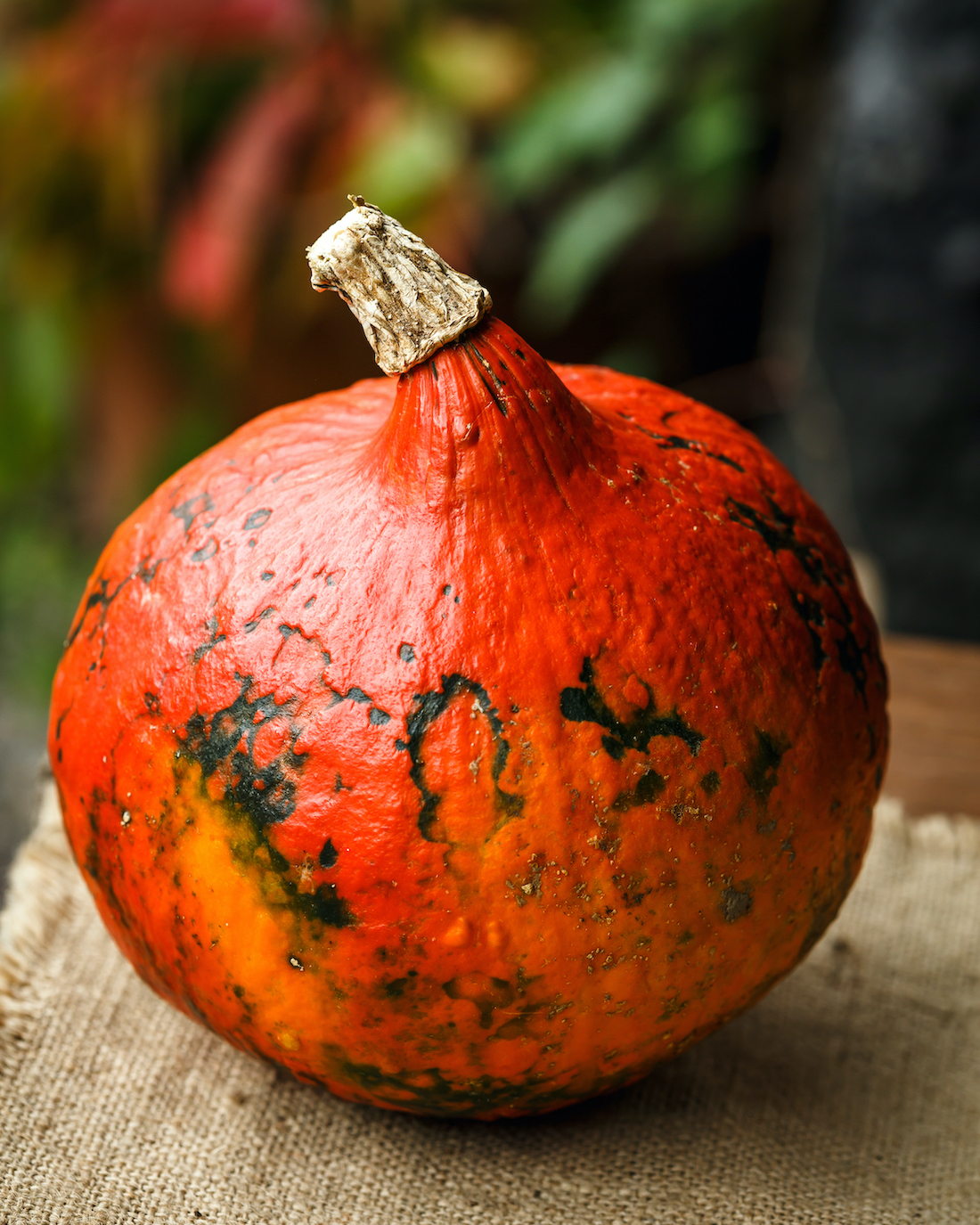 Potimarron ©anna.q shutterstock