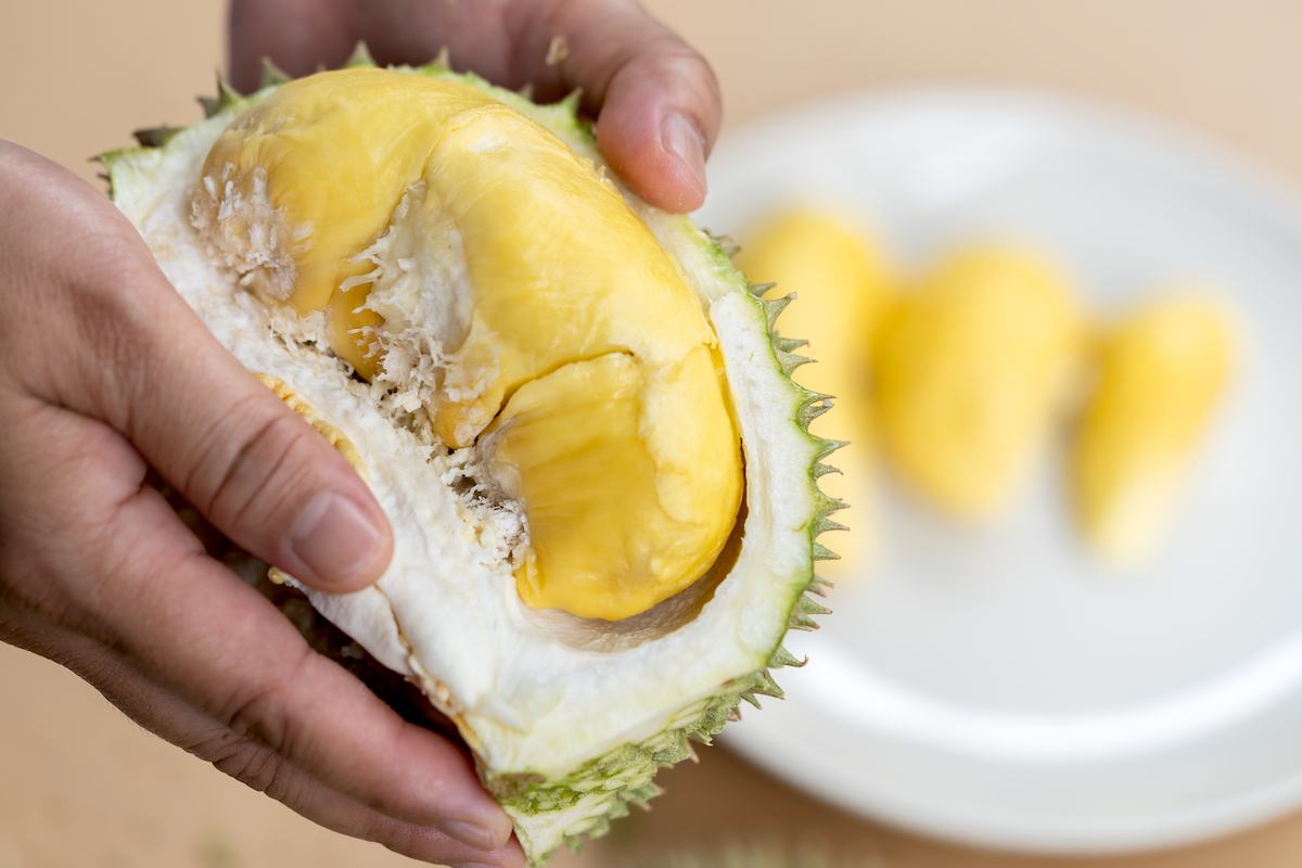A l'intérieur du durian ©Thassin shutterstock