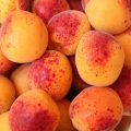 Abricots rouges du Roussillon