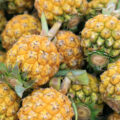 Ananas (c) Vanatchanan shutterstock