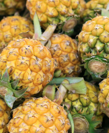 Ananas (c) Vanatchanan shutterstock