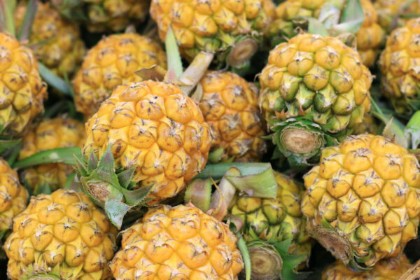 Ananas (c) Vanatchanan shutterstock