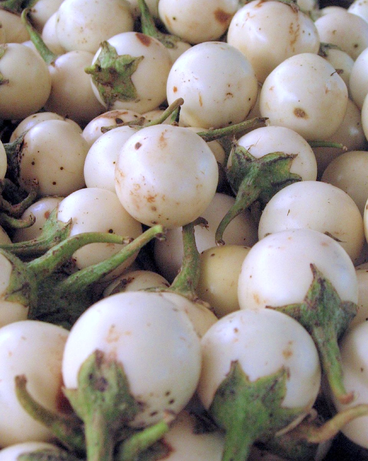 Aubergines blanches rondes ©Hanoi Mark CC BY-NC 2.0