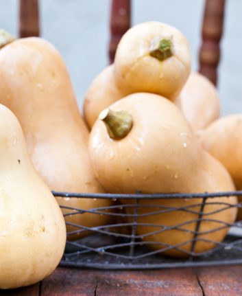 Butternut © LENA GABRILOVICH shutterstock