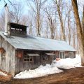 Cabane à sucre ©Pinkcandy shutterstock