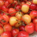 Cerises Napoléon
