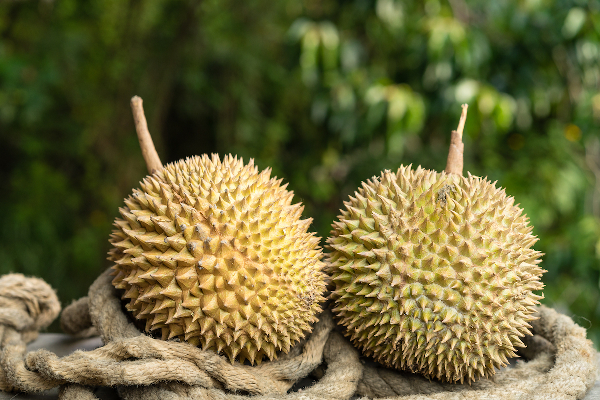 Durian ©Hendra+Su shutterstock