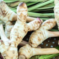 Galanga ©Wor_K_Simkul. shutterstock