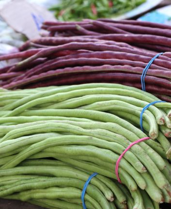 Haricots longs © Thanthima Lim shutterstock