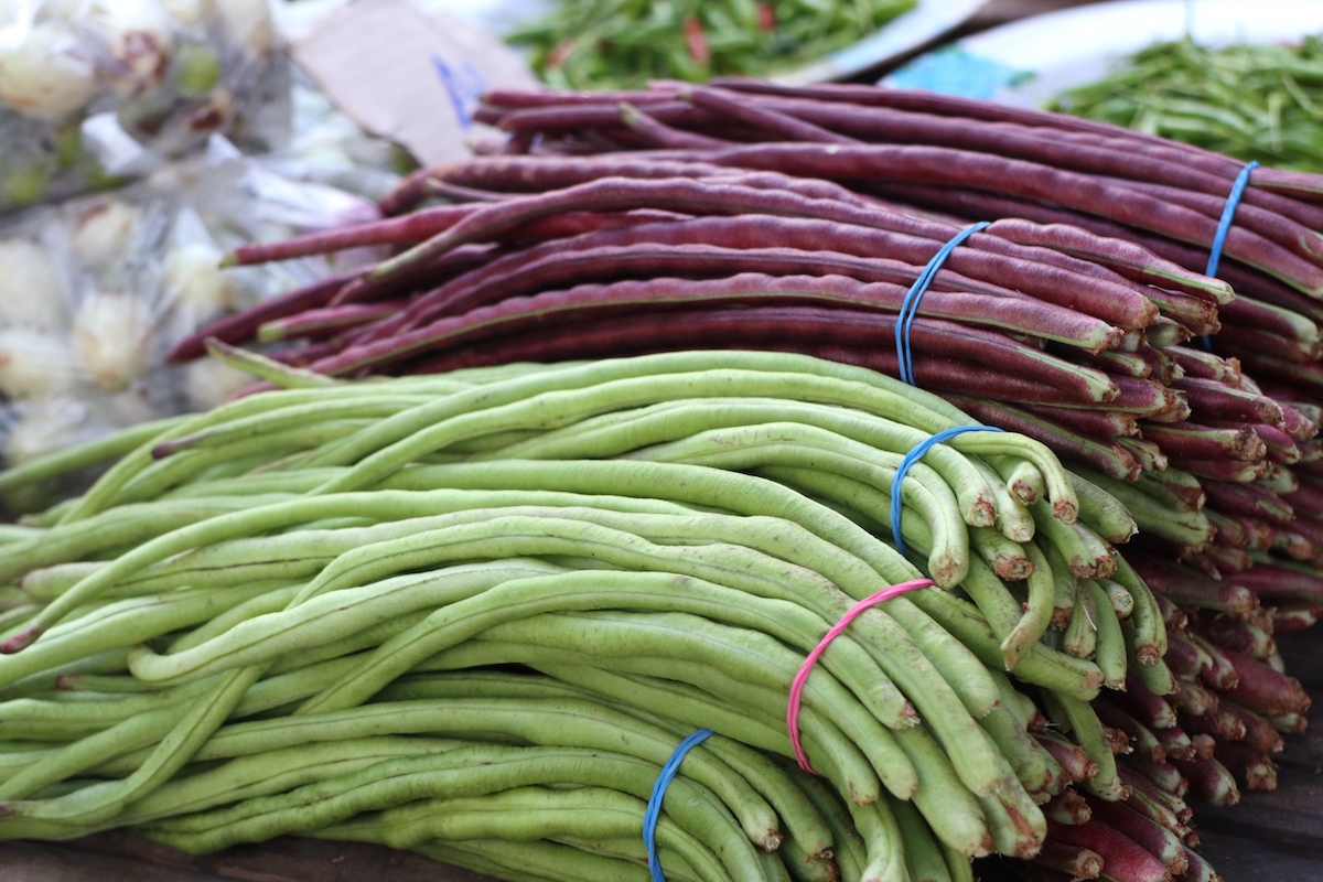Haricots longs © Thanthima Lim shutterstock