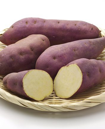 Patates douces à chair blanche ©matin shutterstock