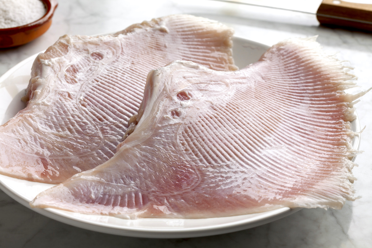 Ailes de raie ©De picturepartners shutterstock