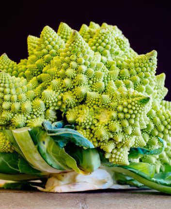 Chou Romanesco ©Jens Mayer CCBY20