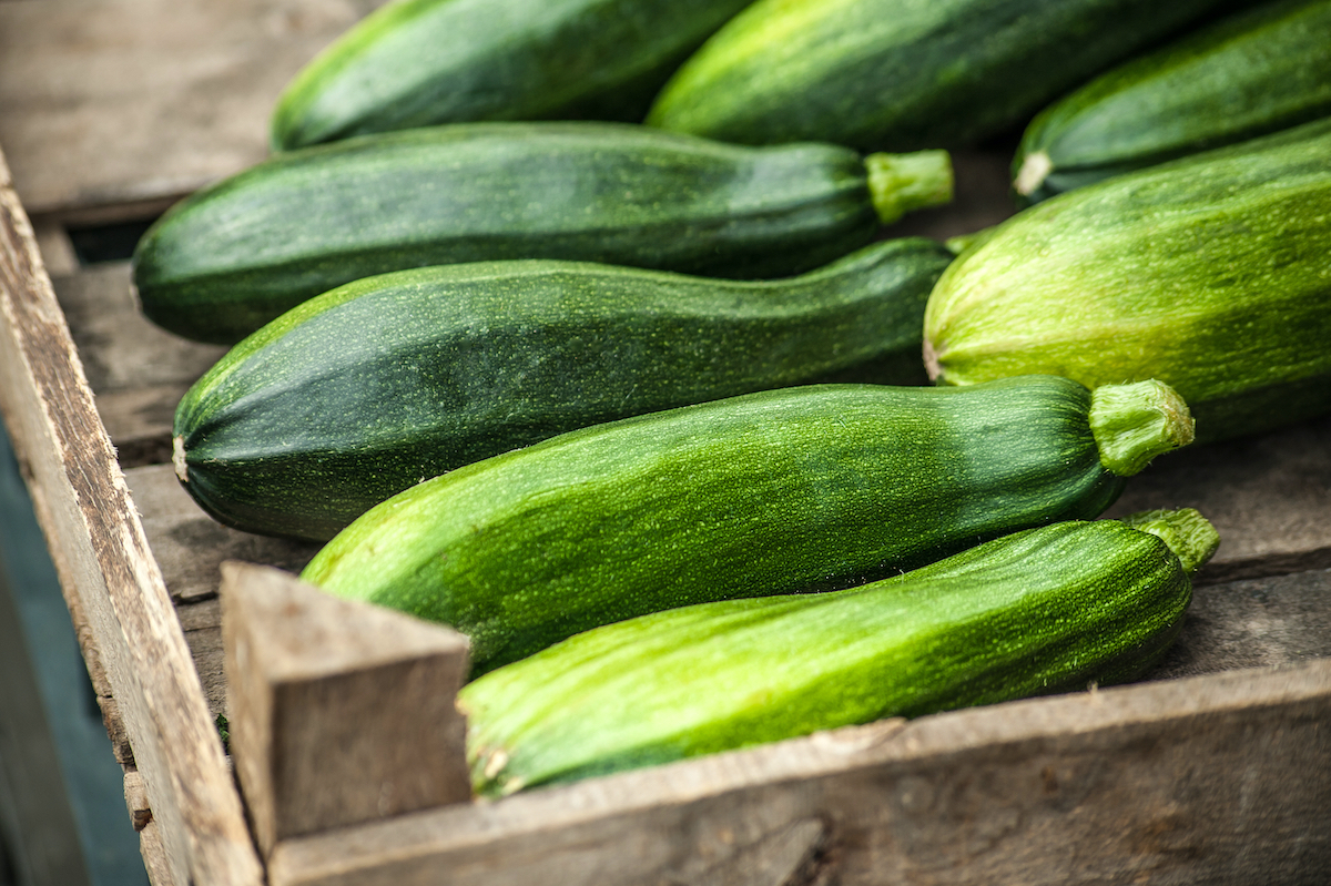Courgettes vertes longues sur un étal