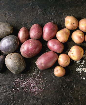 Différentes variétés de pommes de terre ©Natasha Breen shutterstock
