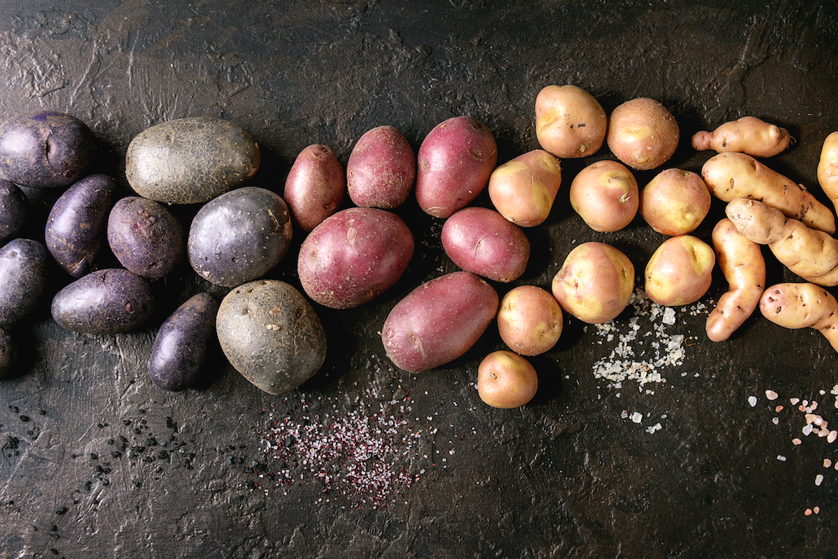 Différentes variétés de pommes de terre ©Natasha Breen shutterstock