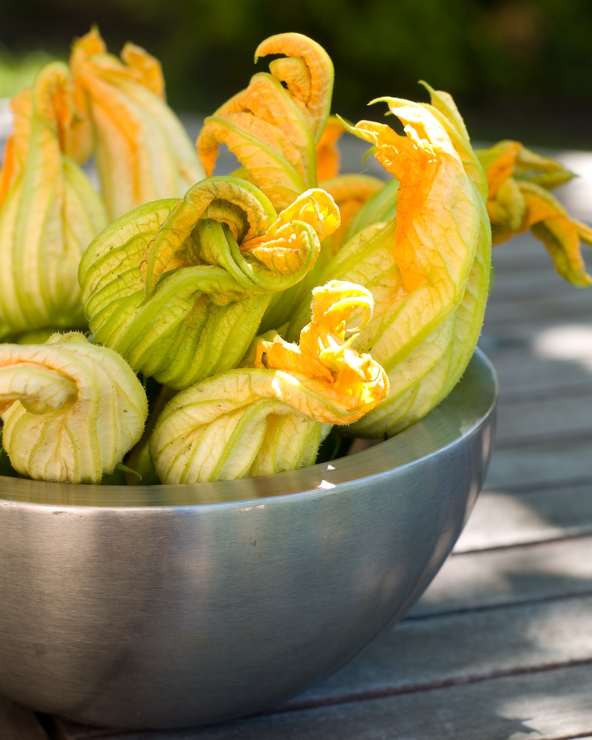 Fleurs de courgettes jaunes fraîchement cueillies