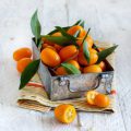Kumquats ©Karissaa shutterstock
