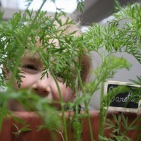 Potager de balcon - Vainqueur catégorie Junior