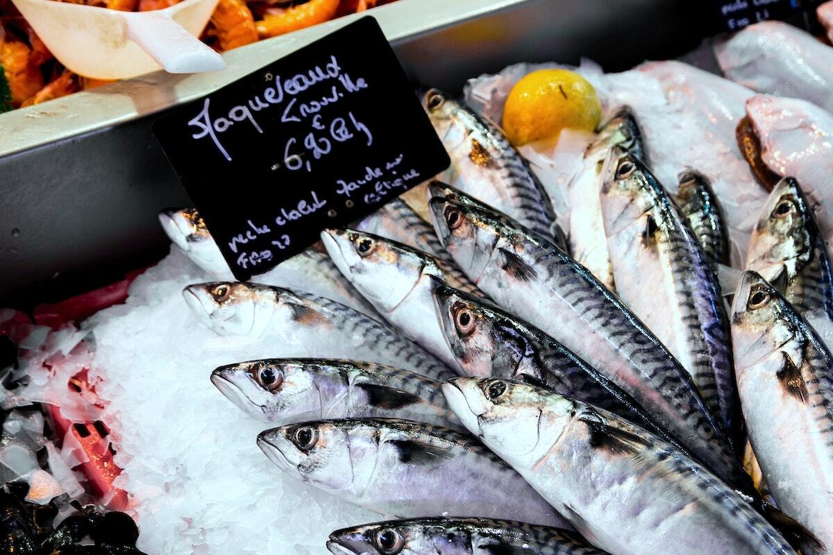 Maquereaux © Samuel C. on Unsplash