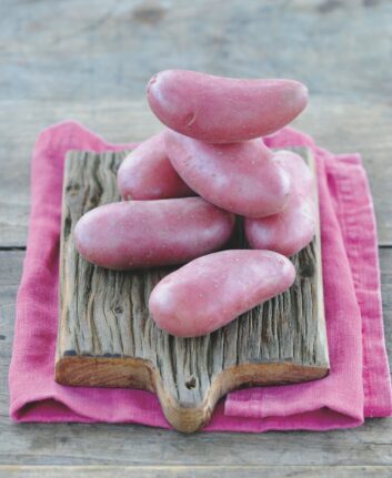 Pommes de terre Chérie ©Franck Schmitt