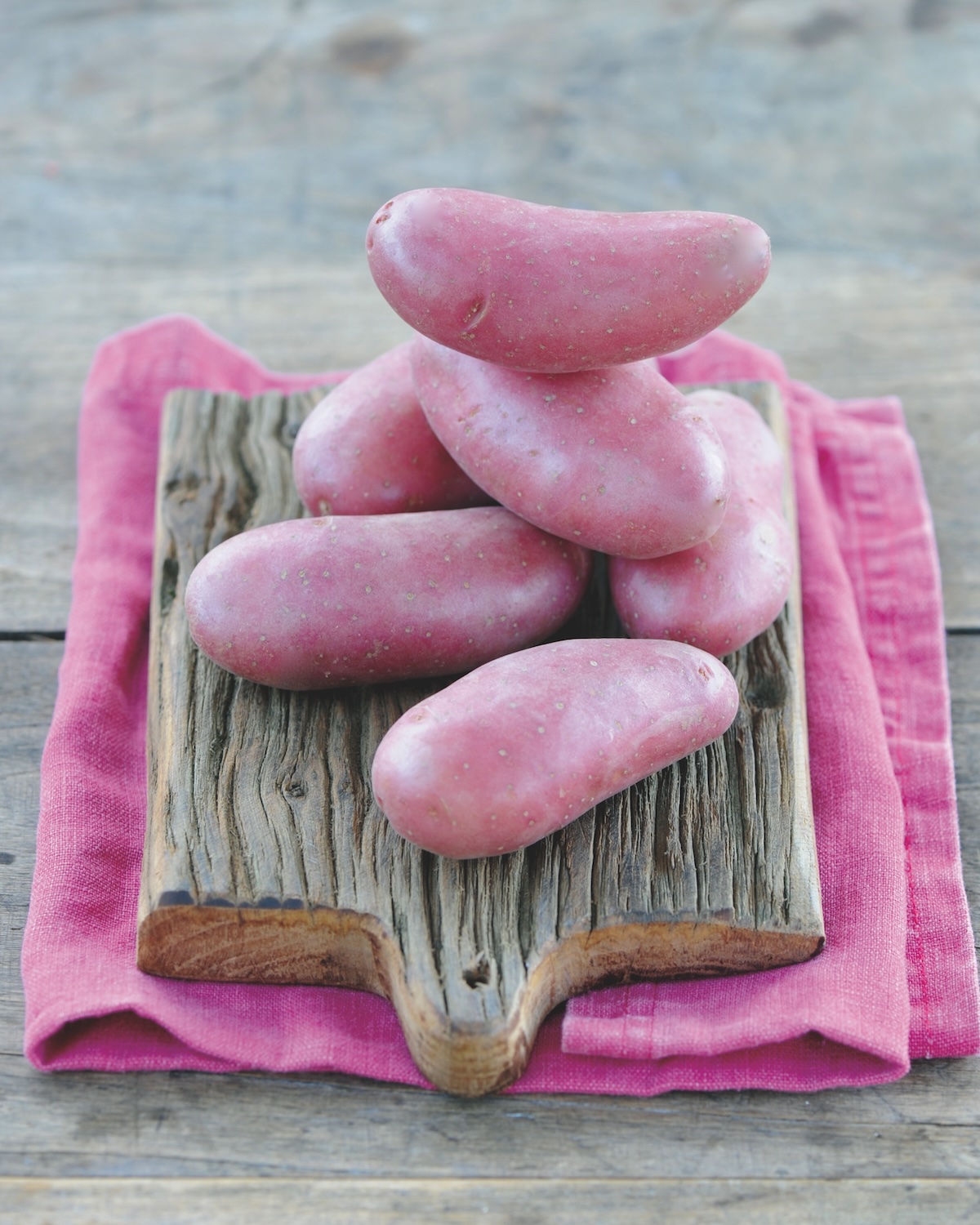 Pommes de terre Chérie ©Franck Schmitt