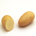 Pommes de terre Charlotte