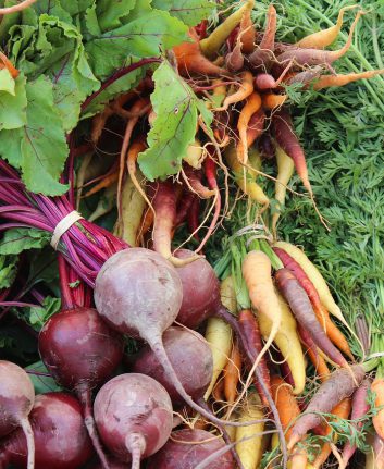 Au marché (c) Skeeze CC0 Public Domain Pixabay