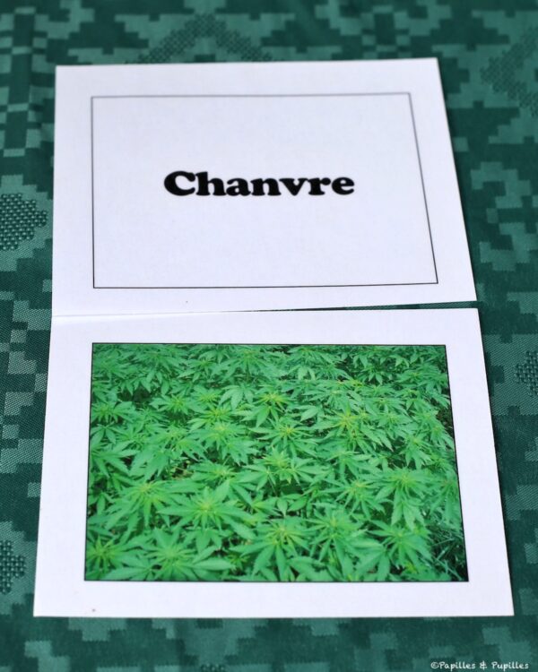 Chanvre