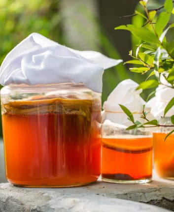 Kombucha ©Business stock shutterstock