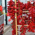 Piments d'Espelette ©Poldarkk shutterstock