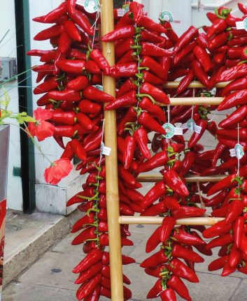 Piments d'Espelette ©Poldarkk shutterstock