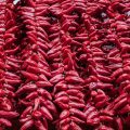 Piments d'Espelette ©ikuzmin shutterstock