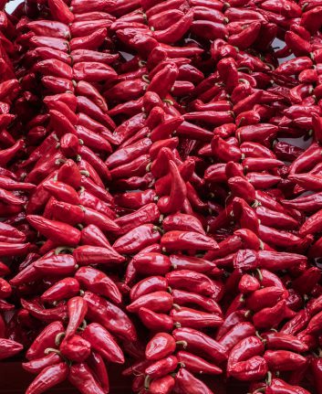 Piments d'Espelette ©ikuzmin shutterstock