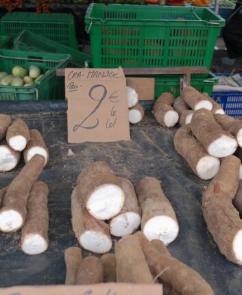 Manioc