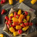 Mini poivrons ©Brent Hofacker shutterstock
