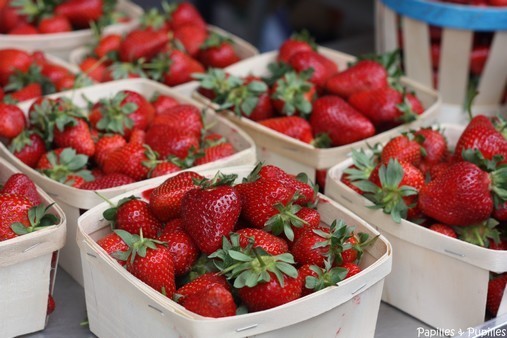 Barquettes de fraises
