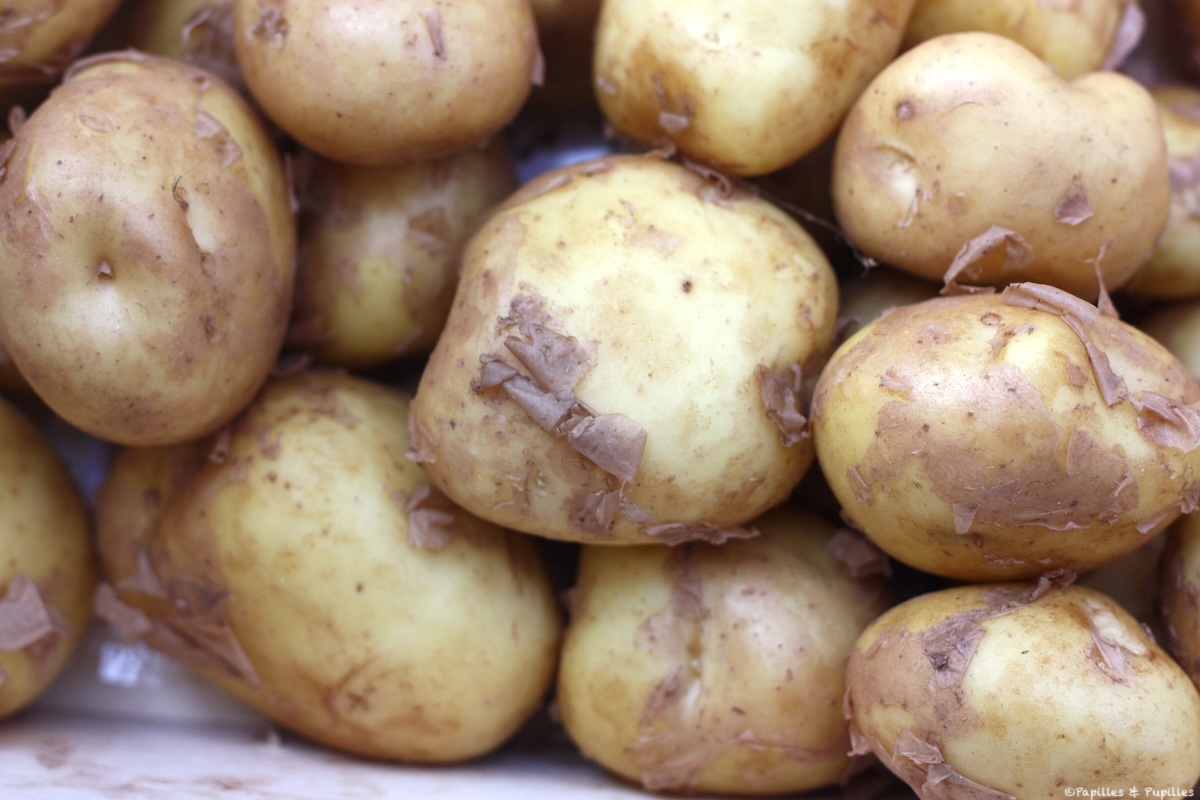 Bonnottes de Noirmoutier