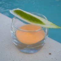 Gondole d'endive Al Pesto, Espuma de tomate et Comté - Stéphane